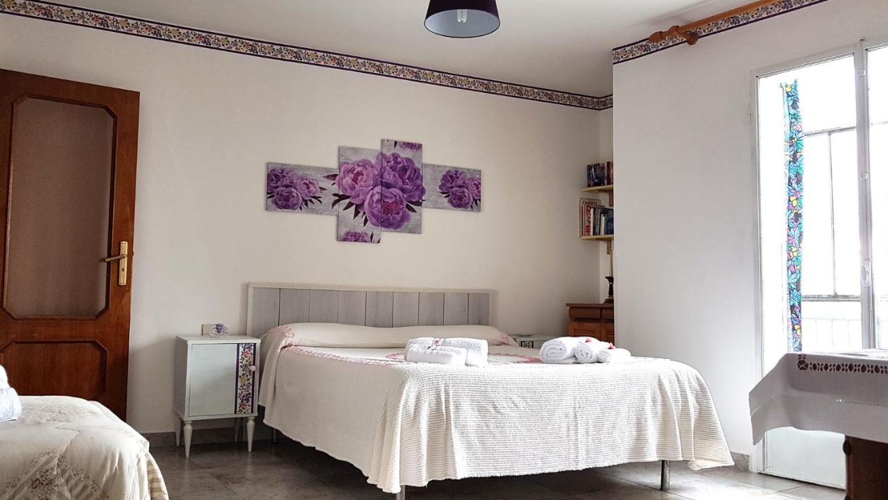B&B Regina Elena Pignola Exterior photo
